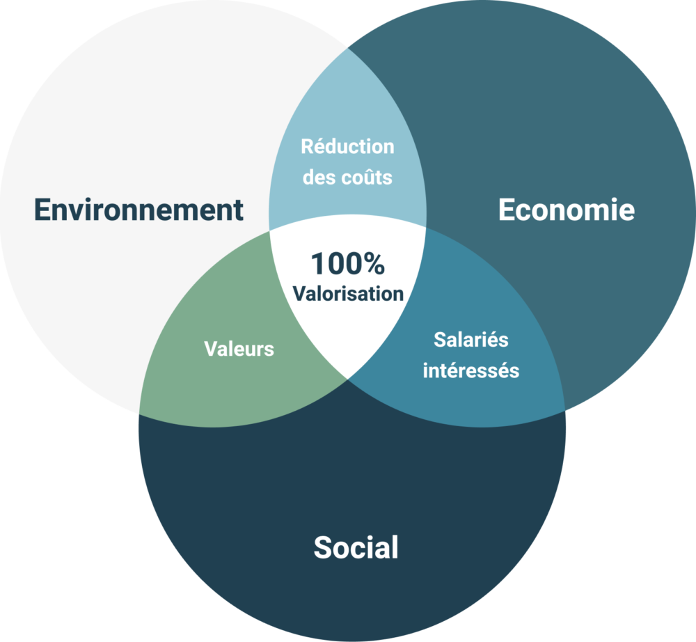 enso • Responsabilité